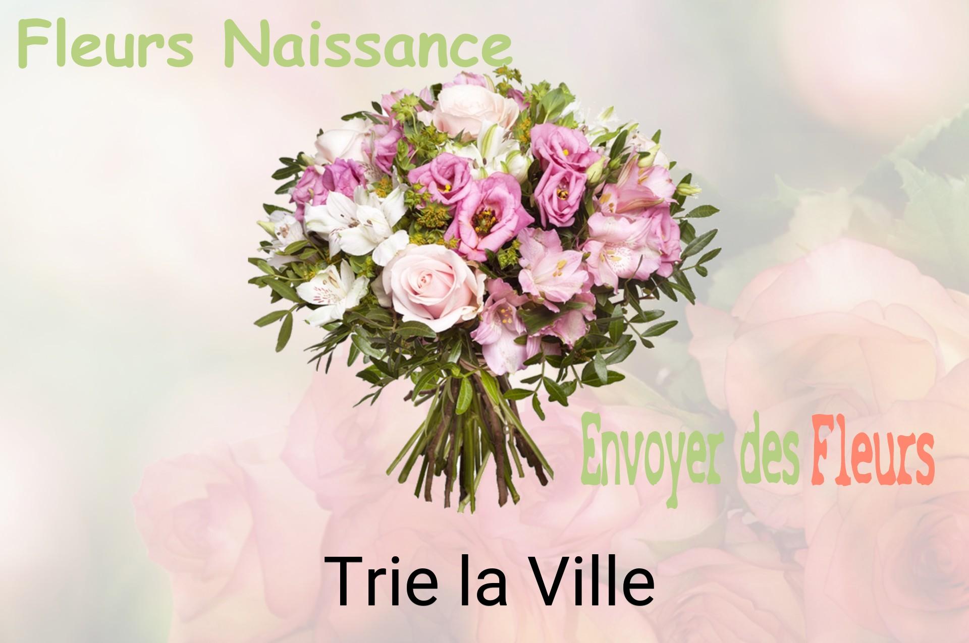 Bouquet de fleurs de naissance livré à Trie-la-Ville