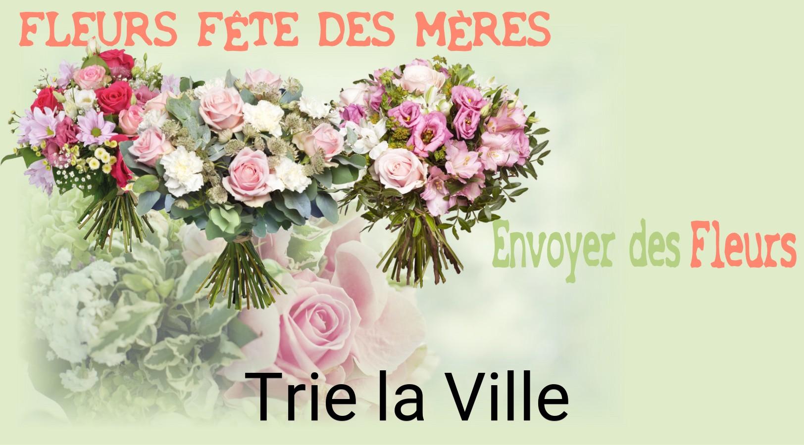 Bouquet de Fête des Mères livré à Trie-la-Ville